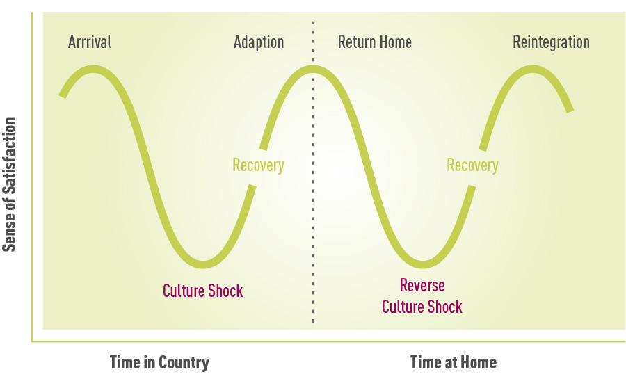 Culture Shock Stages 3624